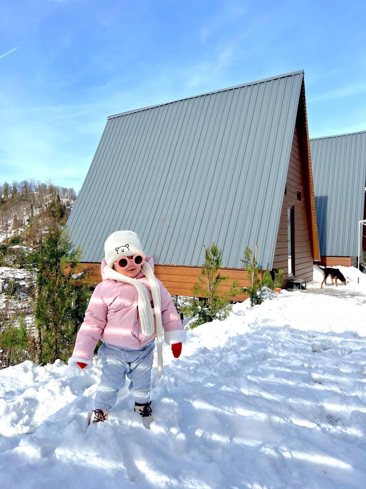 Wayside Livia Chalet Batoumi