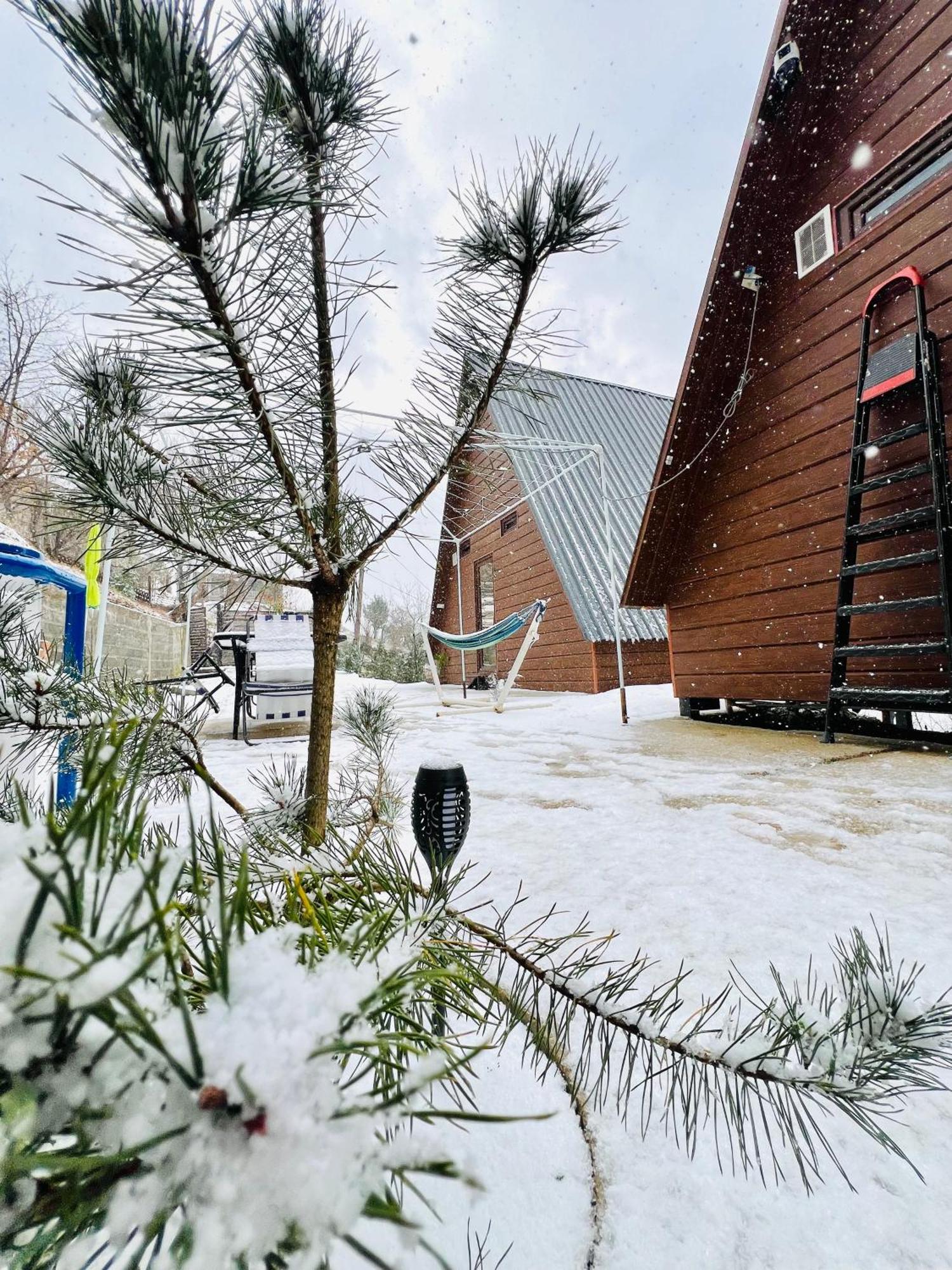 Chalet Wayside Livia *